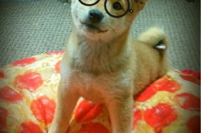 -球队是否通过区域站位压缩中前场有效进攻空间