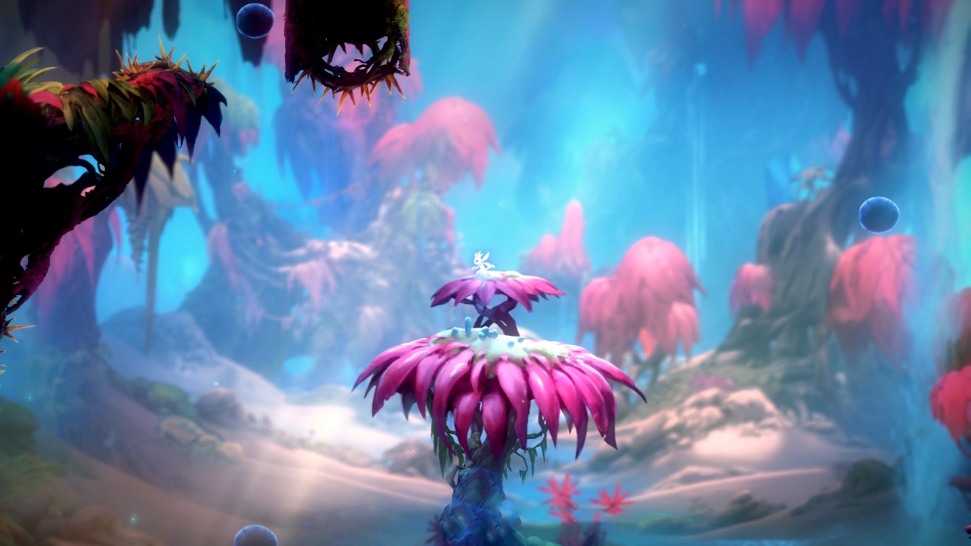 高校体育专业人才培养模式创新，体育专业人才培养方案