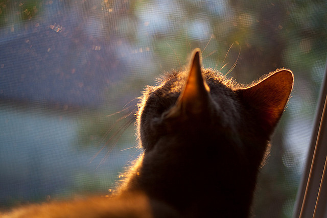 五大联赛是否加强控球中场的射门能力训练，五大联赛防守水平