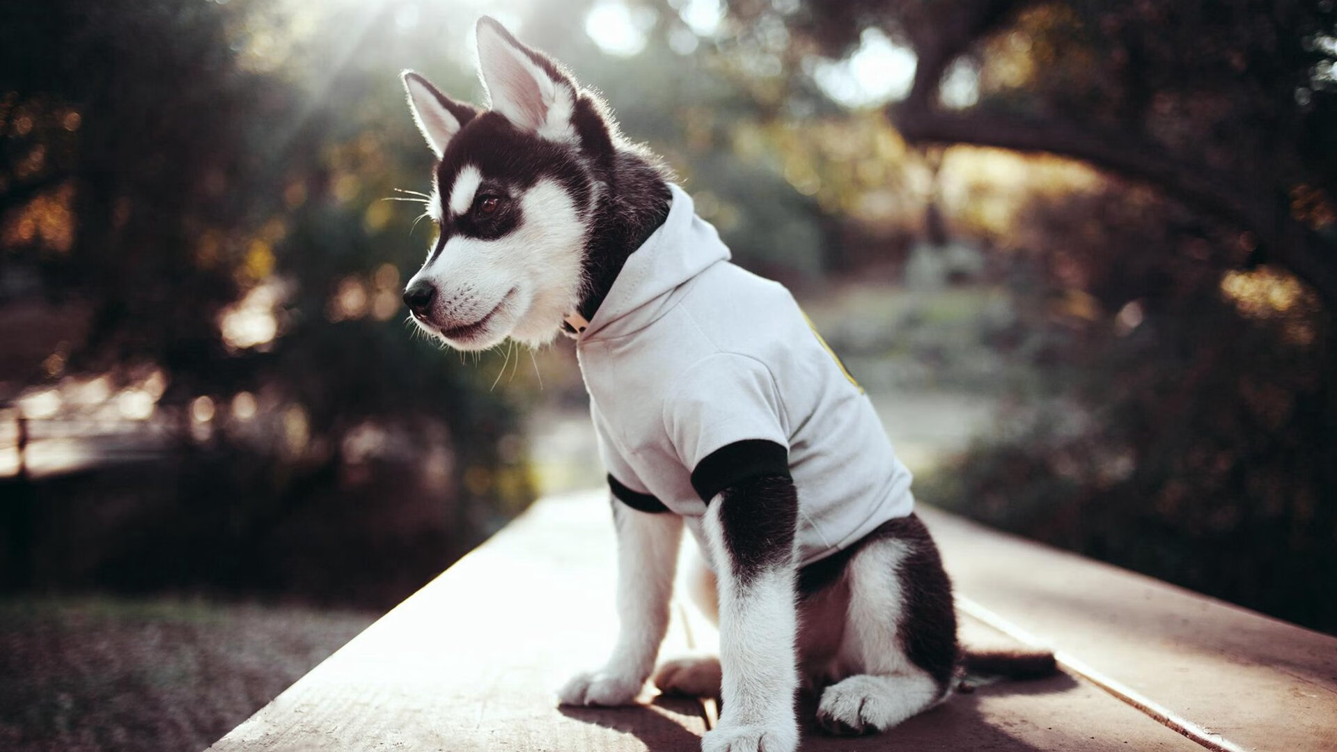 俱乐部战术风格同质化严重,俱乐部战略性计划