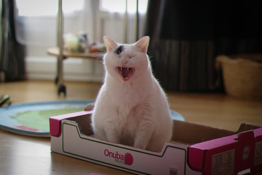 高压控球将继续主导世界强队风格,高压球的技术要点