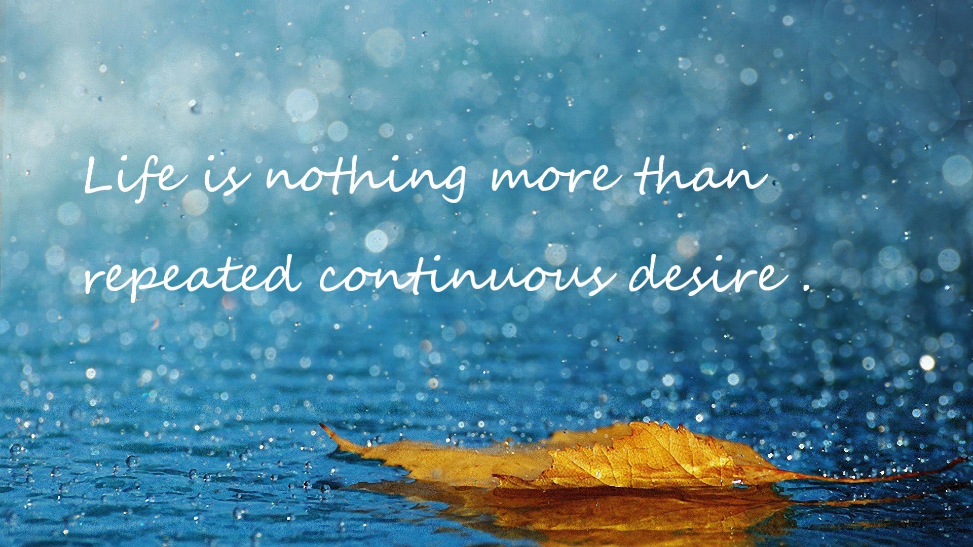 乔·莫伊：全黑队的“铁血战士”，在scrum中毫不退让