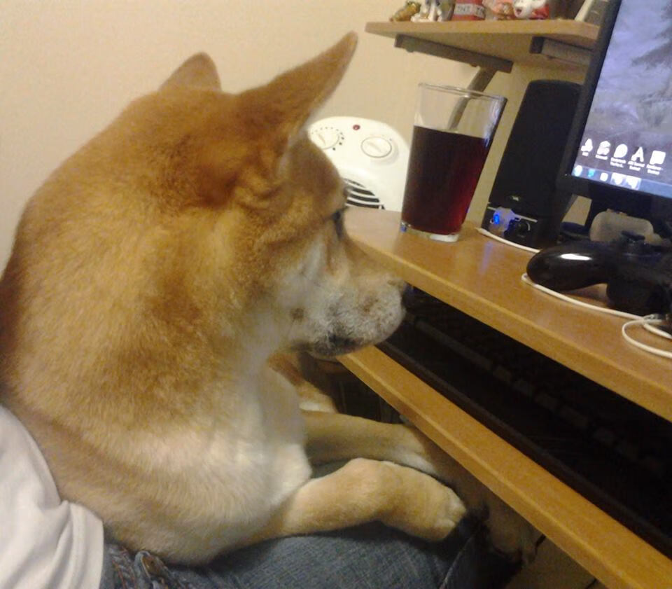 公牛前锋在高强度对抗中连续完成抢断，公牛前锋在高强度对抗中连续完成抢断