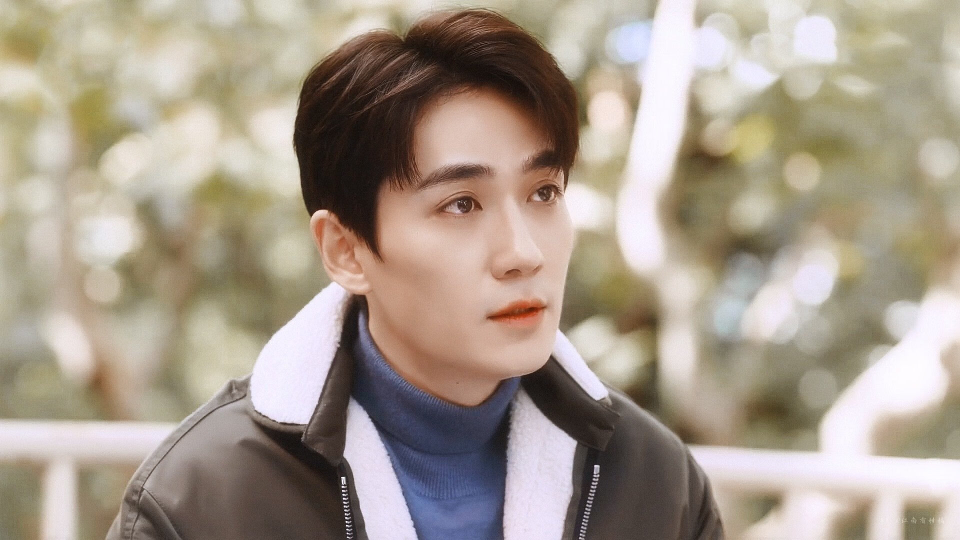 凯尔特人举行球队传统日回顾队史荣耀时刻，凯尔特人队史第5期