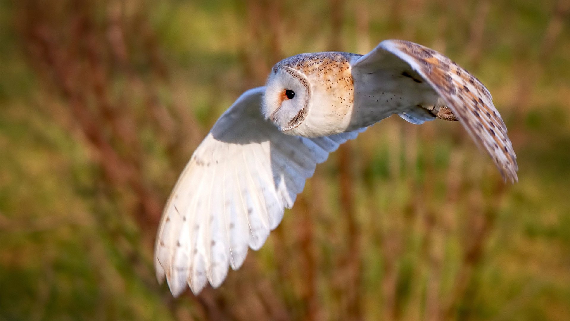 划频节奏控制与体能分配配合得当