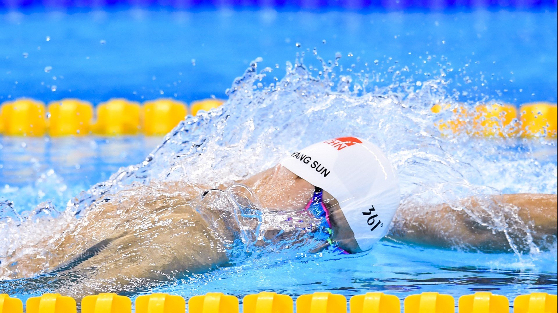 “狗主人遛狗规范挑战赛”：消灭牵引绳之外的危险动作